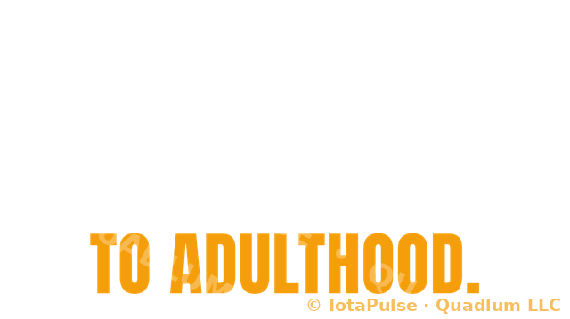 Stop Calling It A Career It's A Subscription To Adulthood shirt design